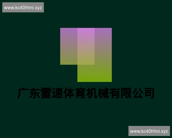 广东雷速体育机械有限公司