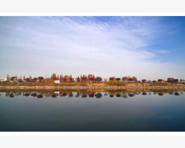 早餐吃什么对脾胃好？一起探索中医科普，关爱身体健康！